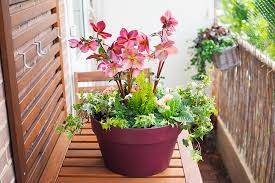 Moi qui comptait laisser mes jardinières en jachère jusqu'au printemps prochain, tu me donnes finalement envie d'aller faire un tour en jardinerie pour les. Diy Une Jardiniere Fleurie Pour La Fin D Hiver Mango And Salt