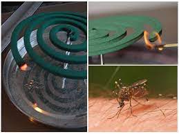 Larva nyamuk menghasilkan zat nitrogen yang bermanfaat bagi ekosistem tanaman. 8 Cara Halau Nyamuk Aedes Dari Rumah Propertyguru Malaysia