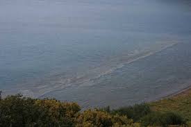 Karaburun satılık konut ilanları ve ev fiyatları hürriyet emlak'ta! Izmir Karaburun Arazi Calismasi Etkinlik Foto Galerileri Galeri Turk Cografya Kurumu