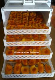 Nella stagione delle albicocche, è consigliabile non solo usarli freschi, ma anche fare una piccola scorta per dopo. Albicocche Essiccate A Tavola Da Daniela