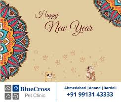 At blue cross pet hospital, we do it all, from complex surgeries to preventative care. Bluecross Pet Clinic Veterinaire Ahmedabad 38 Photos Facebook