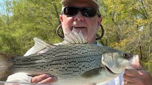 Thanks to Lake Texoma guide Russell Buxton for sharing this video!