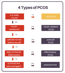 4 Types Of Pcos A Flowchart Lara Briden The Period Revolutionary Pcos Infertility Pcos Cure Pcos Awareness