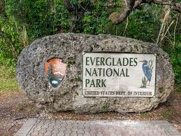 This guide to everglades national park will help you see wildlife & experience the best of the park. Complete Guide To 1 Day In Everglades National Park
