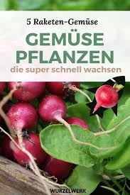 Pin Auf Makeup