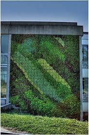 Check spelling or type a new query. Green Wall Wikipedia