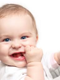 Stay Warm & Comfy this Winter with Cuddl Duds