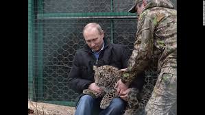 Image result for vladimir putin
