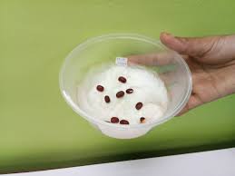 Bubur kacang hijau sudah lama dikenal sebagai jajanan tradional di indonesia. Amali Minggu 5 Percambahan Biji Benih 8 10 18