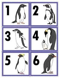 The most common penguin coloring pages material is paper. The 17 Types Of Penguins Worksheets Teaching Resources Tpt