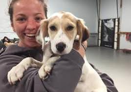 Creche de cães ajuda adultos com necessidades especiais a desenvolver  habilidades profissionais e pessoais