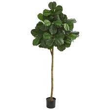 The best way to take good care of your plant is to get to know it better. Nearly Natural Indoor 6 In Fiddle Leaf Fig Artificial Tree Home Depot