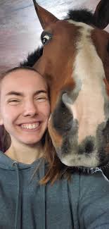 What horse would be suitable for a beginner rider looking to lease in  Powell?