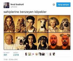 Fevzi Bozkurt Tevboz Takip Ediliyor Sahiplerine Benzeyen Kopekler 361 268e Retweet Begeni 13 08 28 Mar 2016 Guldum Net Caps Arama Motoru