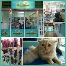 Prices listed are base prices for the full service groom as noted. Barks Bubbles Pet Grooming Care Home Facebook