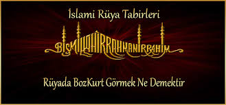 Ruyada Bozkurt Gormek Ne Demektir Ne Anlama Gelir Ilahirahmet Islami Dua Sitesi