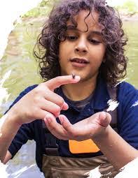 David Buse's Instagram, Twitter & Facebook