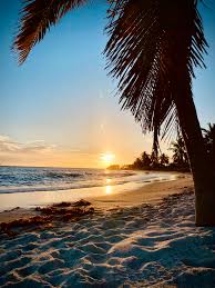 Leader of the Pack Sports Talk