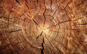 Android google logo hintergrund holz. Holz Wallpapers Hd Wallpaper Cave