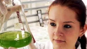 Botanik-Projekt der Uni Jena erhält weiteren Millionenbetrag