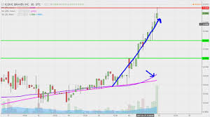 Iconic Brands Inc Icnb Stock Chart Technical Analysis For 01 23 17