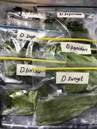 Salam koja, daun kari, temurui inggris: Nak Sayur Bahan Basah Kekal Segar Cuba Simpan Ikut Cara Ini Pesona Pengantin