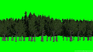 We did not find results for: Forest Green Screen Backgrounds Green And Blue Free Green Desktop Background