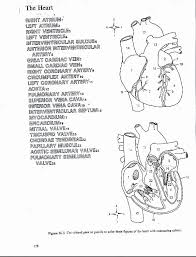 Over 90 images for children's creativity. Google Image Result For Https Realyouthatl Org Wp Content Uploads 2019 03 Heart Diagram To Color Anatomy Coloring Book Color Worksheets Heart Coloring Pages