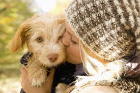 So you're thinking of adding a pet to your family? Dog Breed Selector Quiz Which Dog Is Right For You Quiz