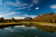 Image result