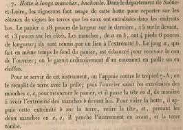 Resultats De Recherche Etymologie Occitane