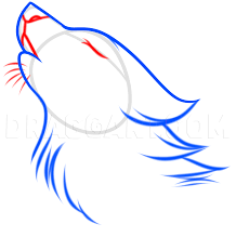 Download 44,420 animal face set stock illustrations, vectors & clipart for free or amazingly low rates! How To Draw A Wolf Spirit Step By Step Drawing Guide By Dawn Dragoart Com
