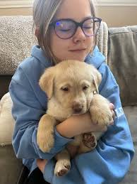 Aflac insurance services in Luttrell, Tennessee