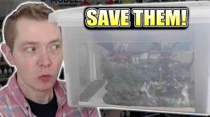 How to Store Your Large Miniatures for Under $20!