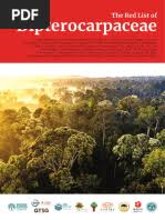 Image result for Monotes adenophyllus