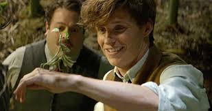 Animali fantastici e dove trovarli è il film da vedere stasera in tv