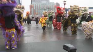 Calgary Chinesenew Year S Lions And Dragon Dance Dragon Dance Chinese New Year 2017 Lion Dance