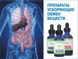 Vitaminy Dlya Uluchsheniya Metabolizma Tabletki Dlya Uskoreniya Obmena Veshestv Vybiraem Optimalnye Varianty