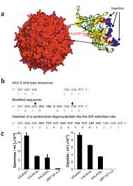 Image result for Blue 1999 AAV