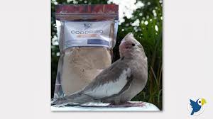 Cockatiel Feeding Guide Goodbird Hand Feeding Formula