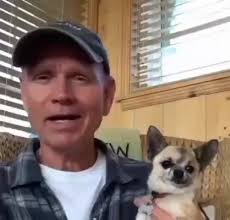 #funny #funnyvideo #funnyvideos #meme #memes #dog #puppy #petting #cursed  #painful #dogbite