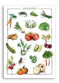 Der august ist der perfekte monat, um wintergemüse zu säen und zu pflanzen. Gartengemuse Poster Im Kinderpostershop Und Posterladen Berlin