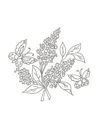 Planse de colorat cu flori. Desene Cu Liliac De Colorat Imagini È™i PlanÈ™e De Colorat Cu Flori De Liliac