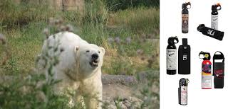 best bear spray reviews 2019