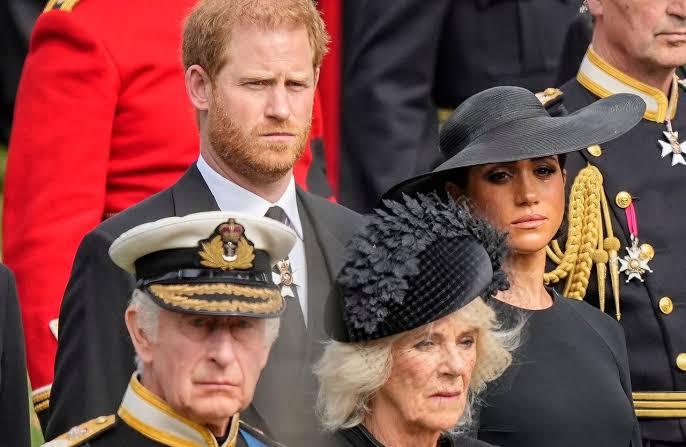 Harry and Meghan surprised by the way Buckingham Palace released letter on  non-working royal status | The Hill