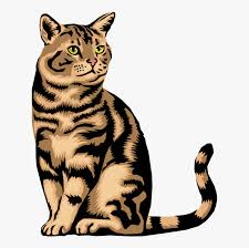 Stunning collection of cat clipart. Cats Clipart Free Download Cats Clipart Hd Png Download Transparent Png Image Pngitem