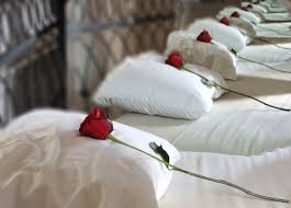 Pillows are used by many species, including humans. Pillow History You Never Knew Perfect For Poem On Your Pillow Day Tweetspeak Poetry