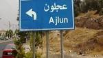 المدينة نيوز |عجلون:مهرجان ترفيهي للاطفال