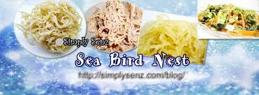 See more ideas about bird nest, sea shell decor, displaying collections. Sea Bird Nest Posts Facebook