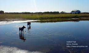 Maybe you would like to learn more about one of these? Hatbill Park Mims Florida Free Campsites Near You